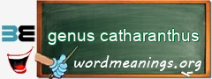 WordMeaning blackboard for genus catharanthus